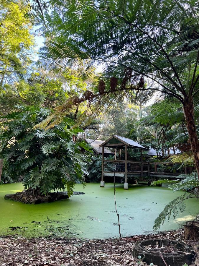 The Oasis At One Mile Beach Nelson Bay Exterior foto
